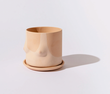 Load image into Gallery viewer, Top Pot