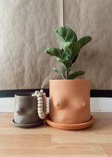 Load image into Gallery viewer, Top Pot