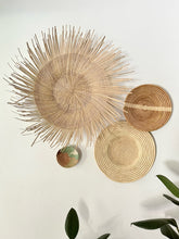 Load image into Gallery viewer, 12” Landscape Line - 2 Colorways